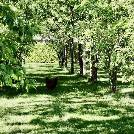 Chalet Waterside Bliss In