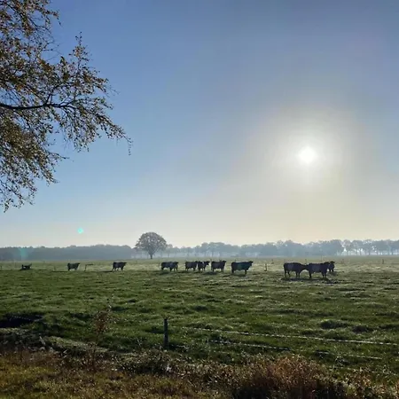 Chalet Waterside Bliss In Lochem