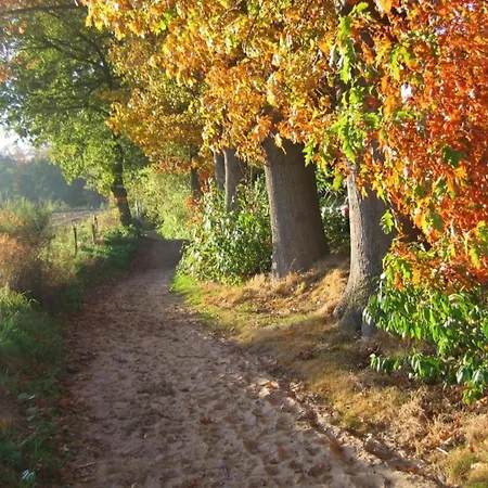 Waterside Bliss In Chalet