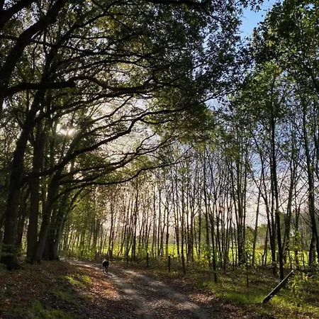 Chalet Waterside Bliss In