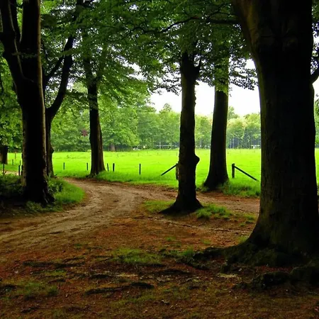 Waterside Bliss In Chalet *