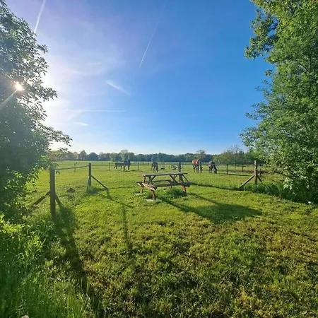 Chalet Waterside Bliss In *