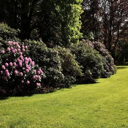 Waterside Bliss In Chalet Lochem