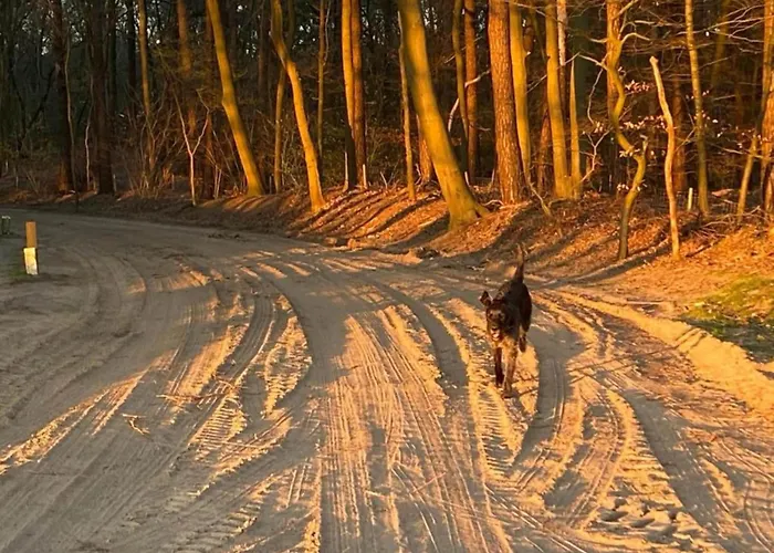 Waterside Bliss In Lochem