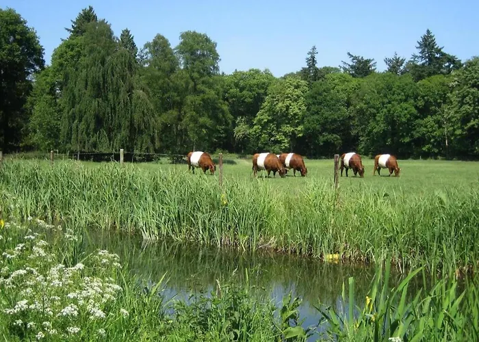 Waterside Bliss In Alpstuga
