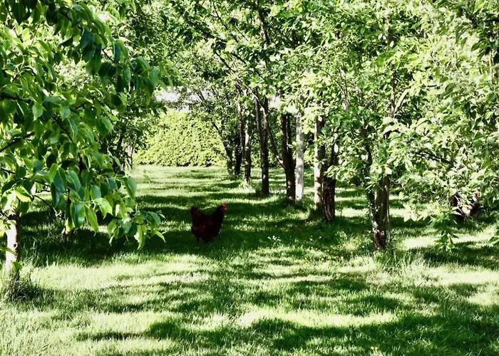 Alpstuga Waterside Bliss In