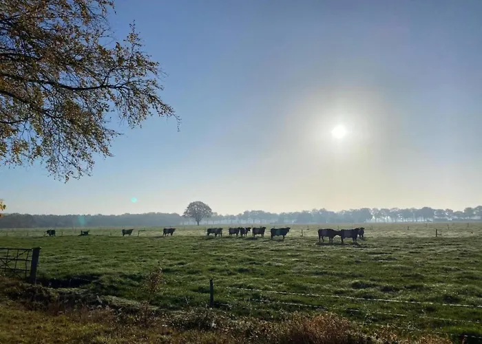 Alpstuga Waterside Bliss In Lochem