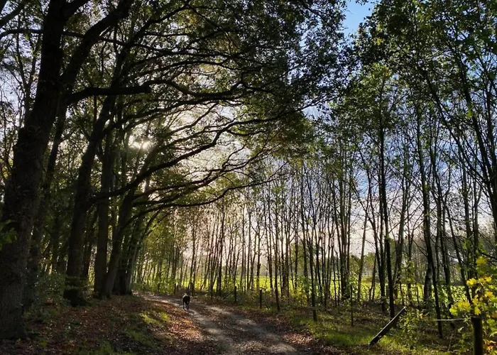 Alpstuga Waterside Bliss In