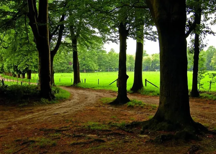Waterside Bliss In Alpstuga *
