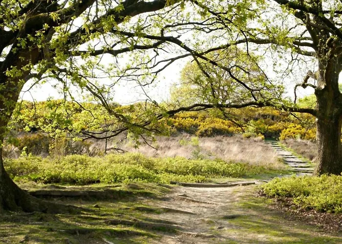 Alpstuga Waterside Bliss In Lochem