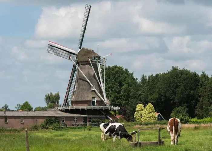 Waterside Bliss In *